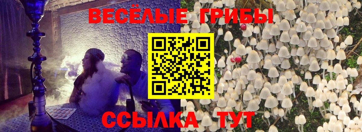 Советская Гавань  Галлюциногенные грибы GOLDEN TEACHER  Вход с VPN 